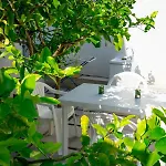 Apartament Garden House