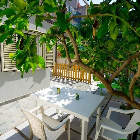 Apartment Garden House