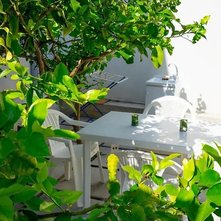 Apartment Garden House